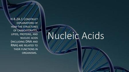 H.B.2A.1 Construct explanations of how the structures of carbohydrates, lipids, proteins, and nucleic acids (including DNA and RNA) are related.