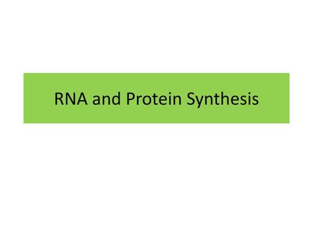 RNA and Protein Synthesis