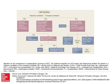 Algorithm for the management of hepatocellular carcinoma (HCC)