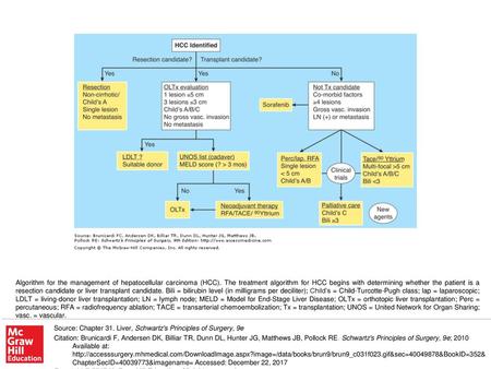 Algorithm for the management of hepatocellular carcinoma (HCC)