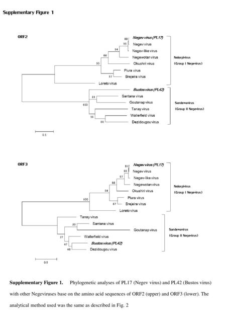 Supplementary Figure 1 ORF2 ORF3 Nelorpivirus (Group I Negevirus)