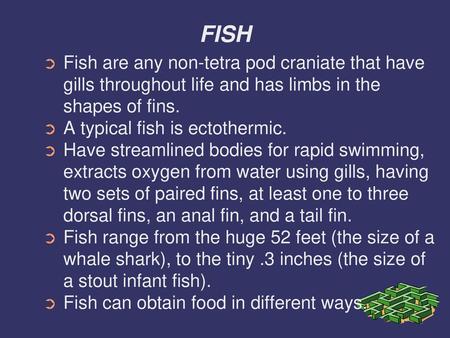 FISH Fish are any non-tetra pod craniate that have gills throughout life and has limbs in the shapes of fins. A typical fish is ectothermic. Have streamlined.