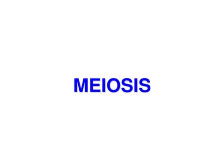 MEIOSIS.