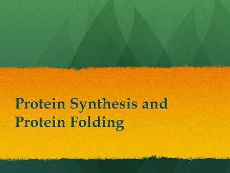 Protein Synthesis and Protein Folding