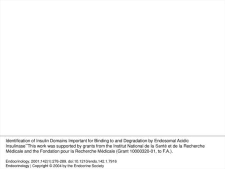 Figure 6. Assessment of endosomal acidic insulinase activity after a gel-filtration HPLC protocol and immunodepletion procedures. Endosomal acidic insulinase.