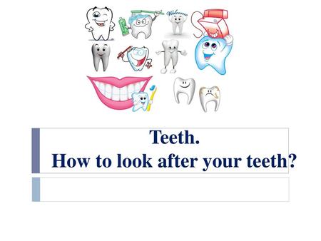 Teeth. How to look after your teeth?