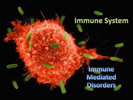 Immune Mediated Disorders