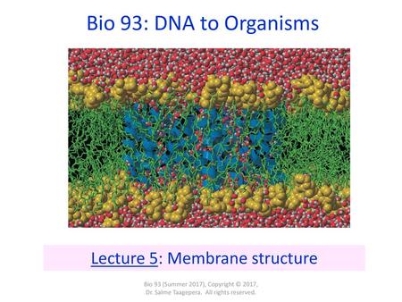 Lecture 5: Membrane structure