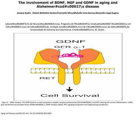 The involvement of BDNF, NGF and GDNF in aging and Alzheimer#cod#x00027;s disease Josiane Budni ;Tatiani Bellettini-Santos;Francielle Mina;Michelle Lima.