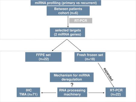 ? miRNA profiling (primary vs recurrent) Between patients cohort (n=6)