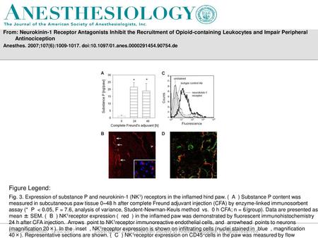 From: Neurokinin-1 Receptor Antagonists Inhibit the Recruitment of Opioid-containing Leukocytes and Impair Peripheral Antinociception Anesthes. 2007;107(6):1009-1017.