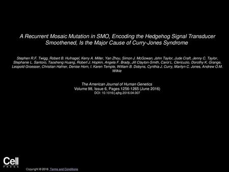 A Recurrent Mosaic Mutation in SMO, Encoding the Hedgehog Signal Transducer Smoothened, Is the Major Cause of Curry-Jones Syndrome  Stephen R.F. Twigg,