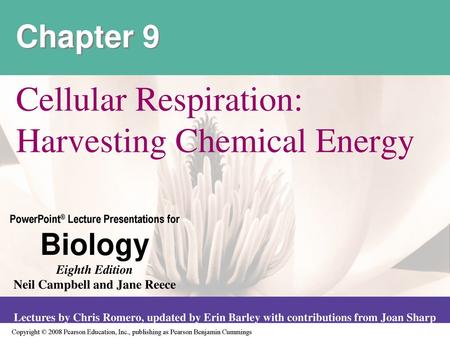 Cellular Respiration: Harvesting Chemical Energy