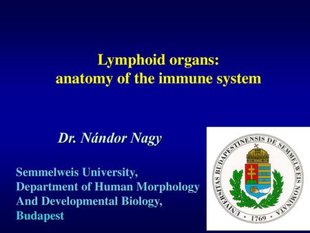 anatomy of the immune system