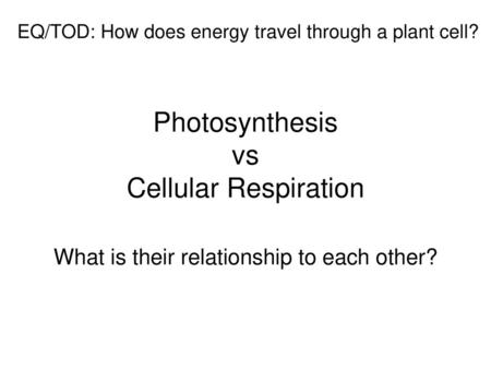 Photosynthesis vs Cellular Respiration