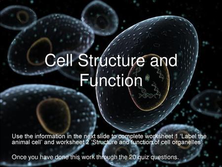 Cell Structure and Function