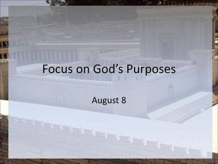 Focus on God’s Purposes