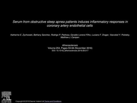 Serum from obstructive sleep apnea patients induces inflammatory responses in coronary artery endothelial cells  Katherine E. Zychowski, Bethany Sanchez,