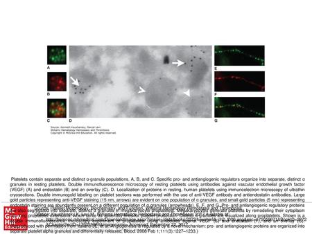 Platelets contain separate and distinct α-granule populations