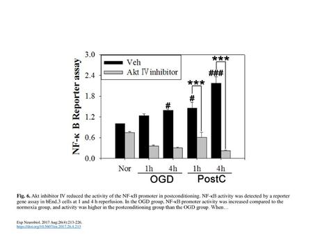 Fig. 6. Akt inhibitor IV reduced the activity of the NF-κB promoter in postconditioning. NF-κB activity was detected by a reporter gene assay in bEnd.3.