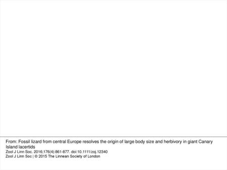 Figure 2. Skull size estimation