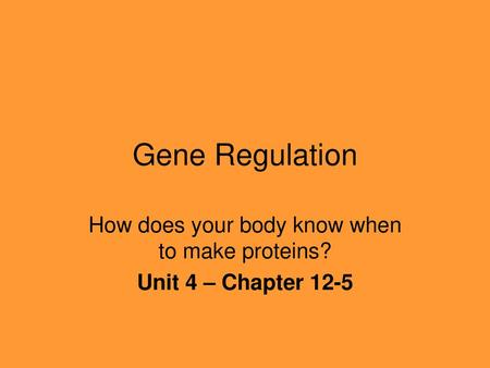 How does your body know when to make proteins? Unit 4 – Chapter 12-5