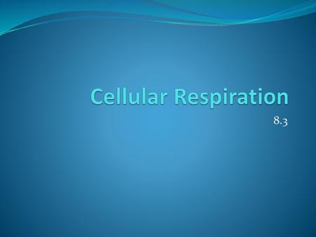 Cellular Respiration 8.3.