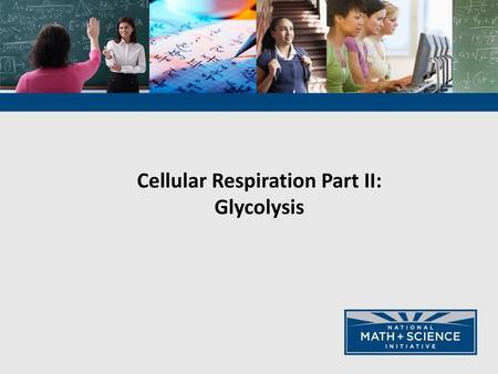 Cellular Respiration Part II: