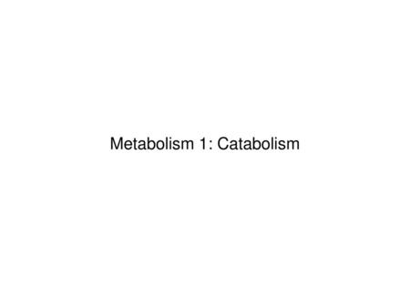 Metabolism 1: Catabolism