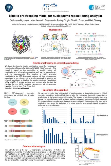 Kinetic proofreading model for nucleosome repositioning analysis