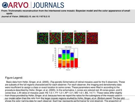 From: Trichromatic reconstruction from the interleaved cone mosaic: Bayesian model and the color appearance of small spots Journal of Vision. 2008;8(5):15.