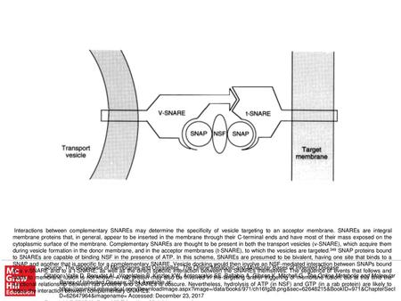 Interactions between complementary SNAREs may determine the specificity of vesicle targeting to an acceptor membrane. SNAREs are integral membrane proteins.