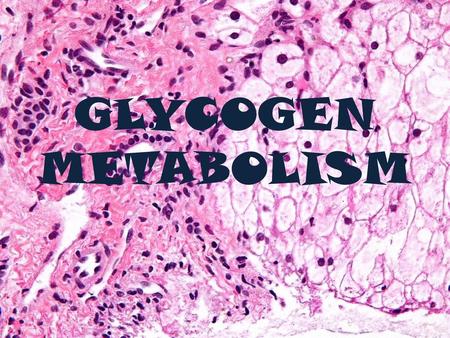 GLYCOGEN METABOLISM.