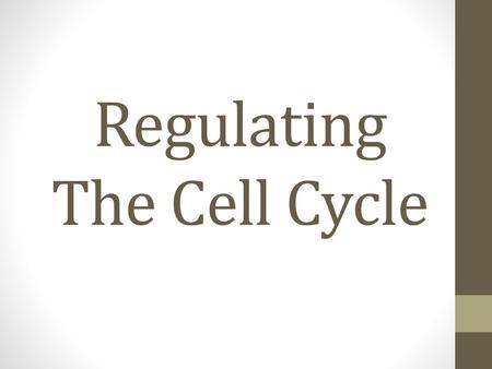 Regulating The Cell Cycle