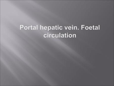 Portal hepatic vein. Foetal circulation