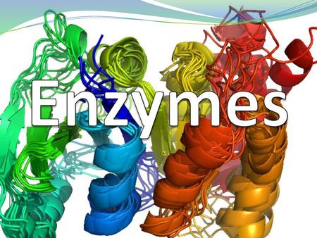 Enzymes.