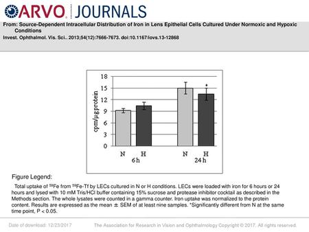 From: Source-Dependent Intracellular Distribution of Iron in Lens Epithelial Cells Cultured Under Normoxic and Hypoxic Conditions Invest. Ophthalmol. Vis.