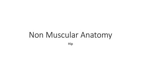 Non Muscular Anatomy Hip.