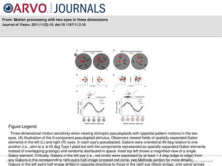 From: Motion processing with two eyes in three dimensions