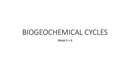 BIOGEOCHEMICAL CYCLES