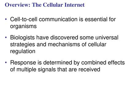 Overview: The Cellular Internet