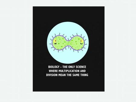 CYCLE CELL. CYCLE CELL Cell division results in two new cells identical to the original cell The original cell is called the parent cell.