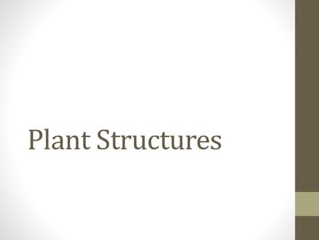 Plant Structures.