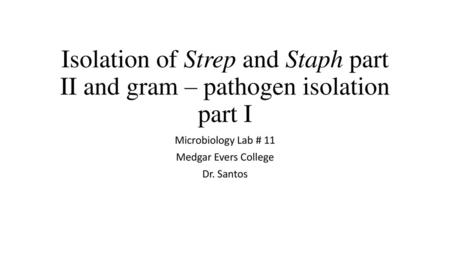 Microbiology Lab # 11 Medgar Evers College Dr. Santos