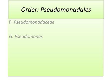 Order: Pseudomonadales