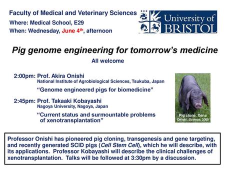 Pig genome engineering for tomorrow’s medicine