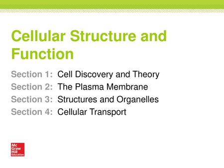 Cellular Structure and Function