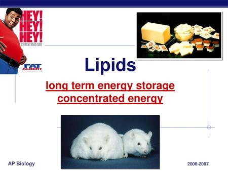 long term energy storage