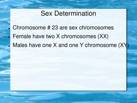 Sex Determination Chromosome # 23 are sex chromosomes