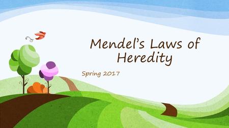 Mendel’s Laws of Heredity